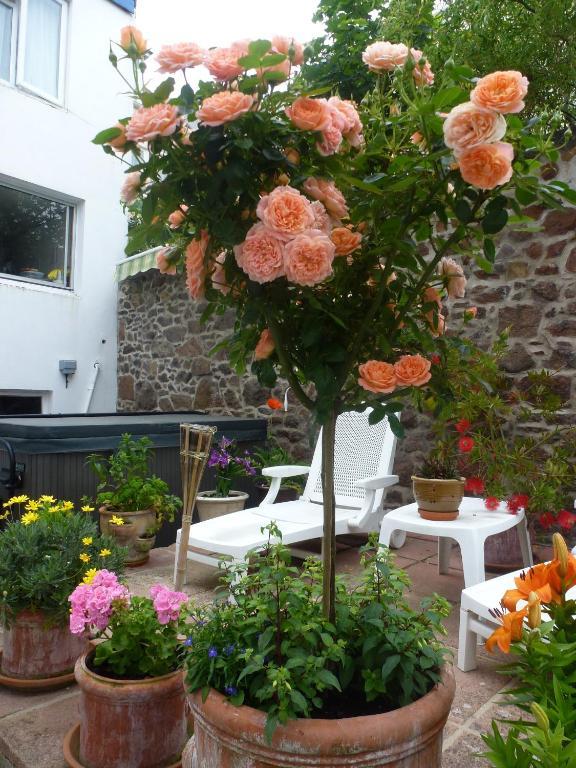 Bayview Guest House Saint Helier Jersey Εξωτερικό φωτογραφία